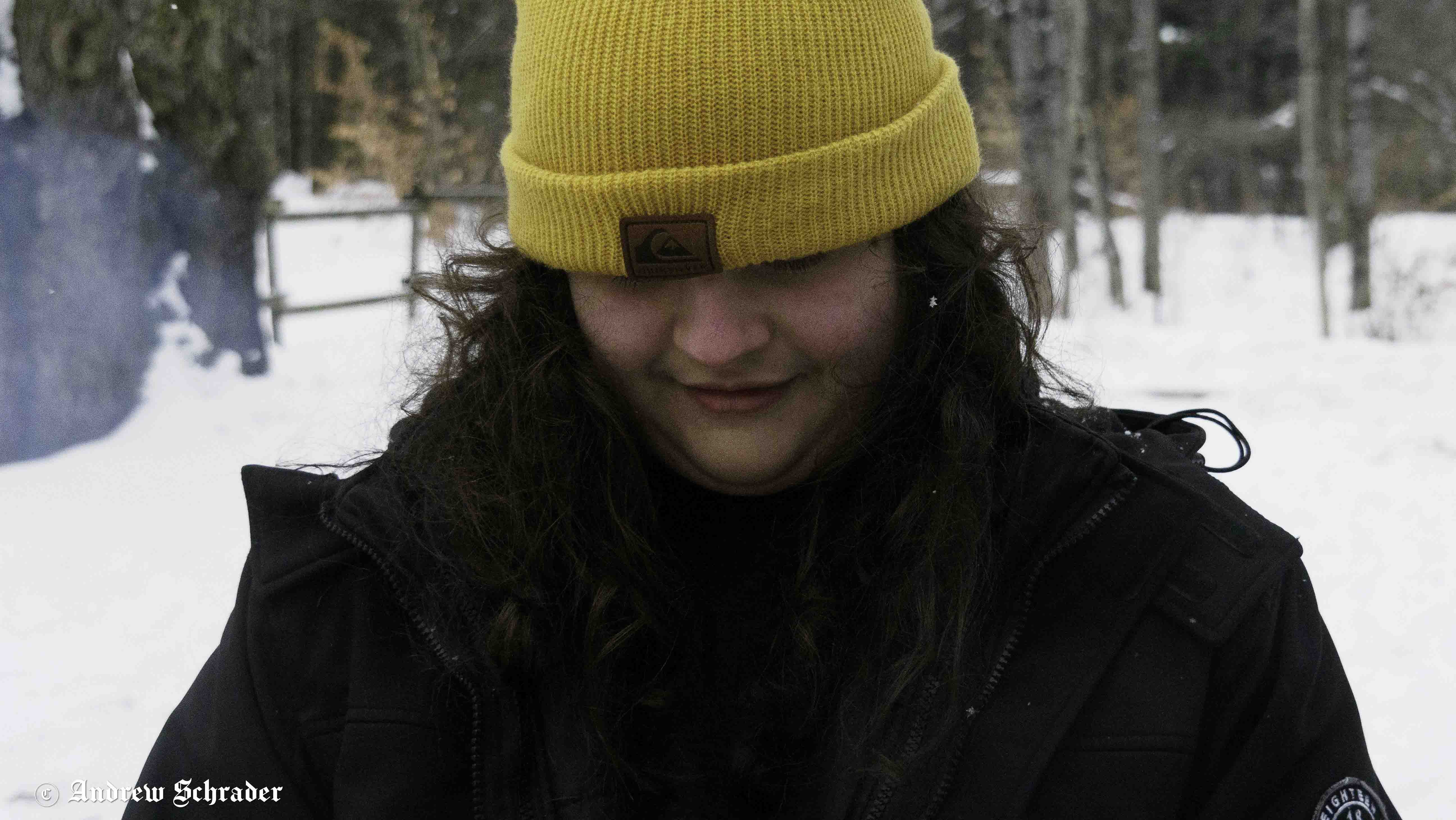 Photo 41