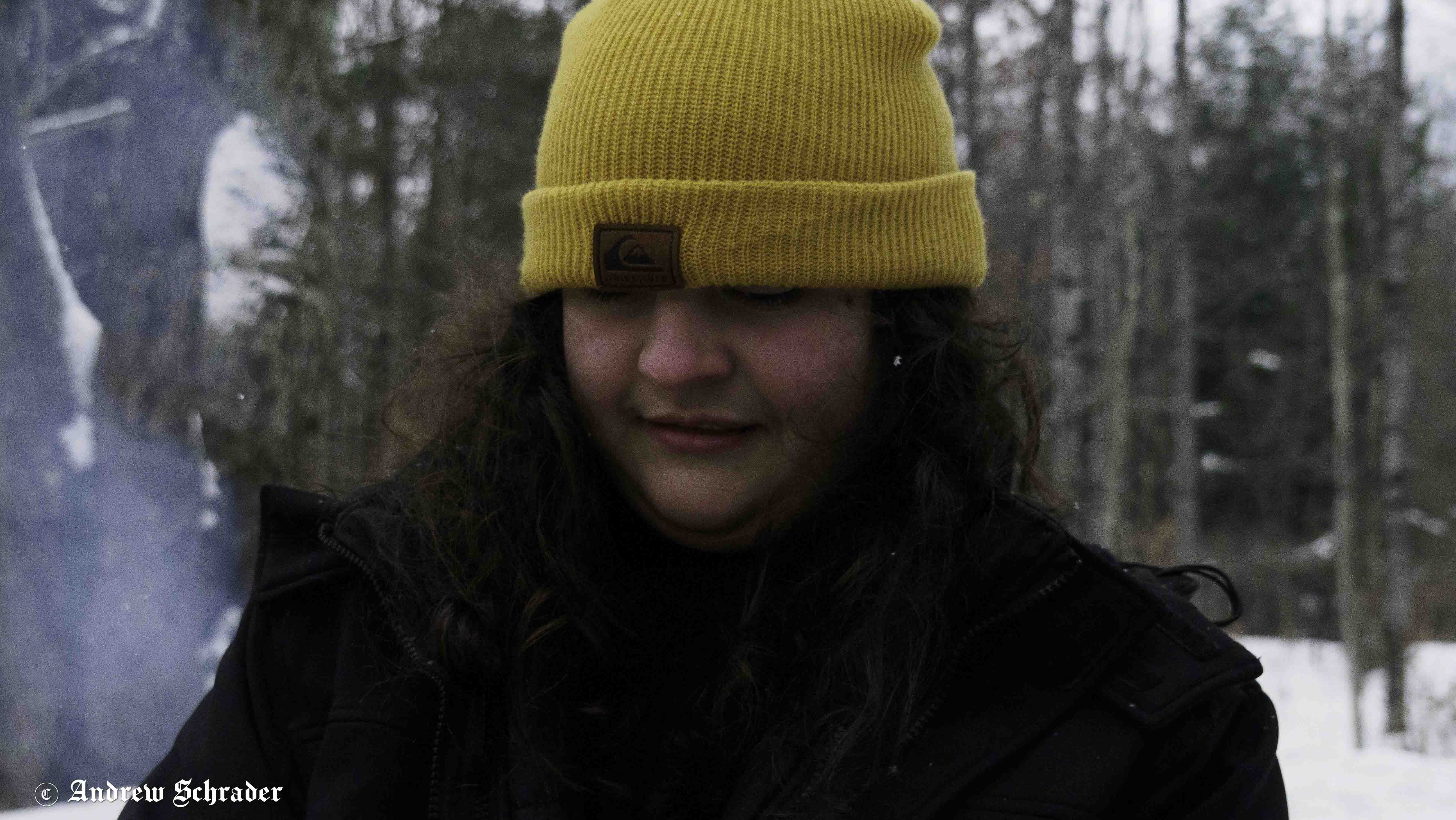 Photo 42