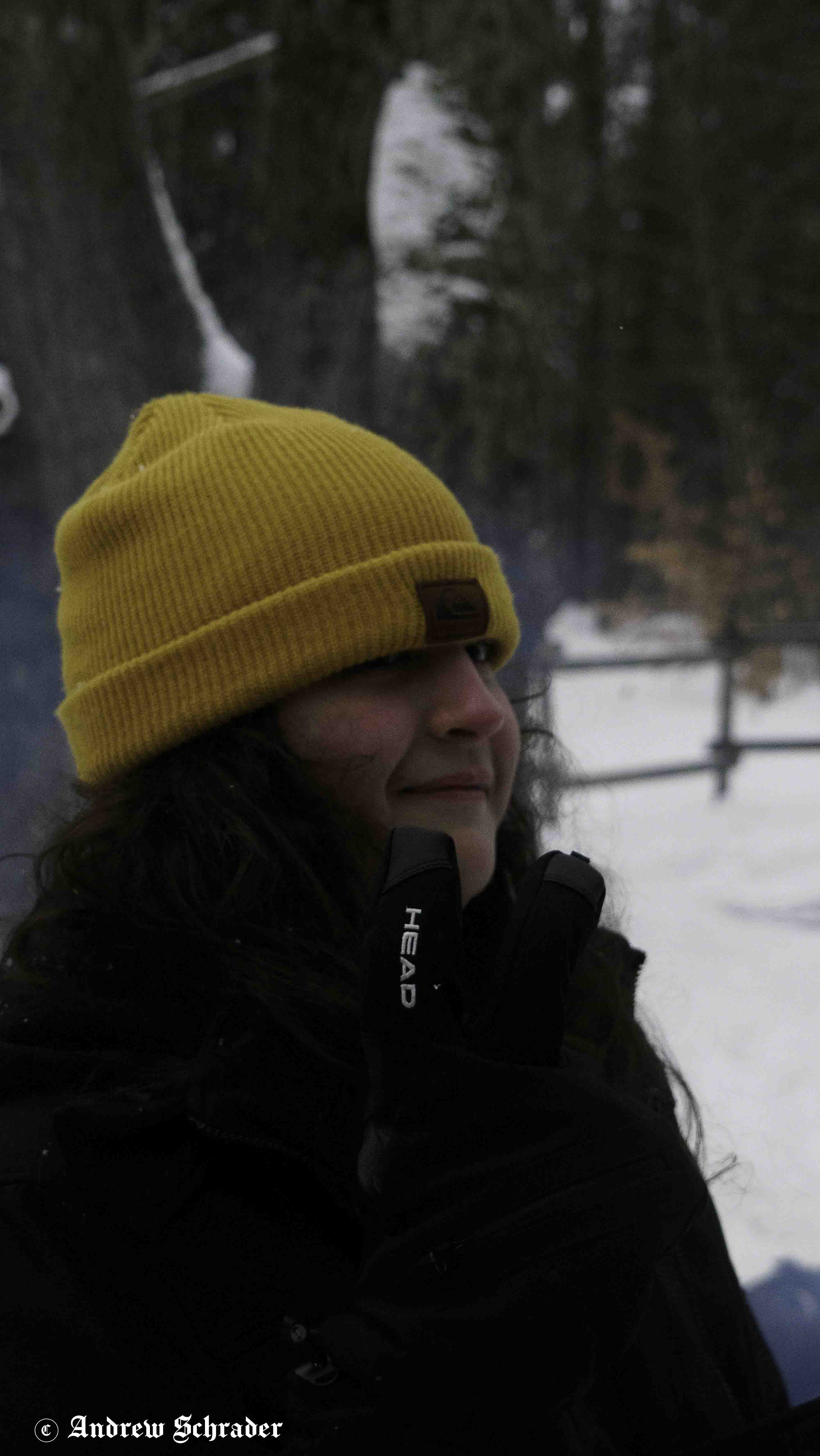 Photo 44
