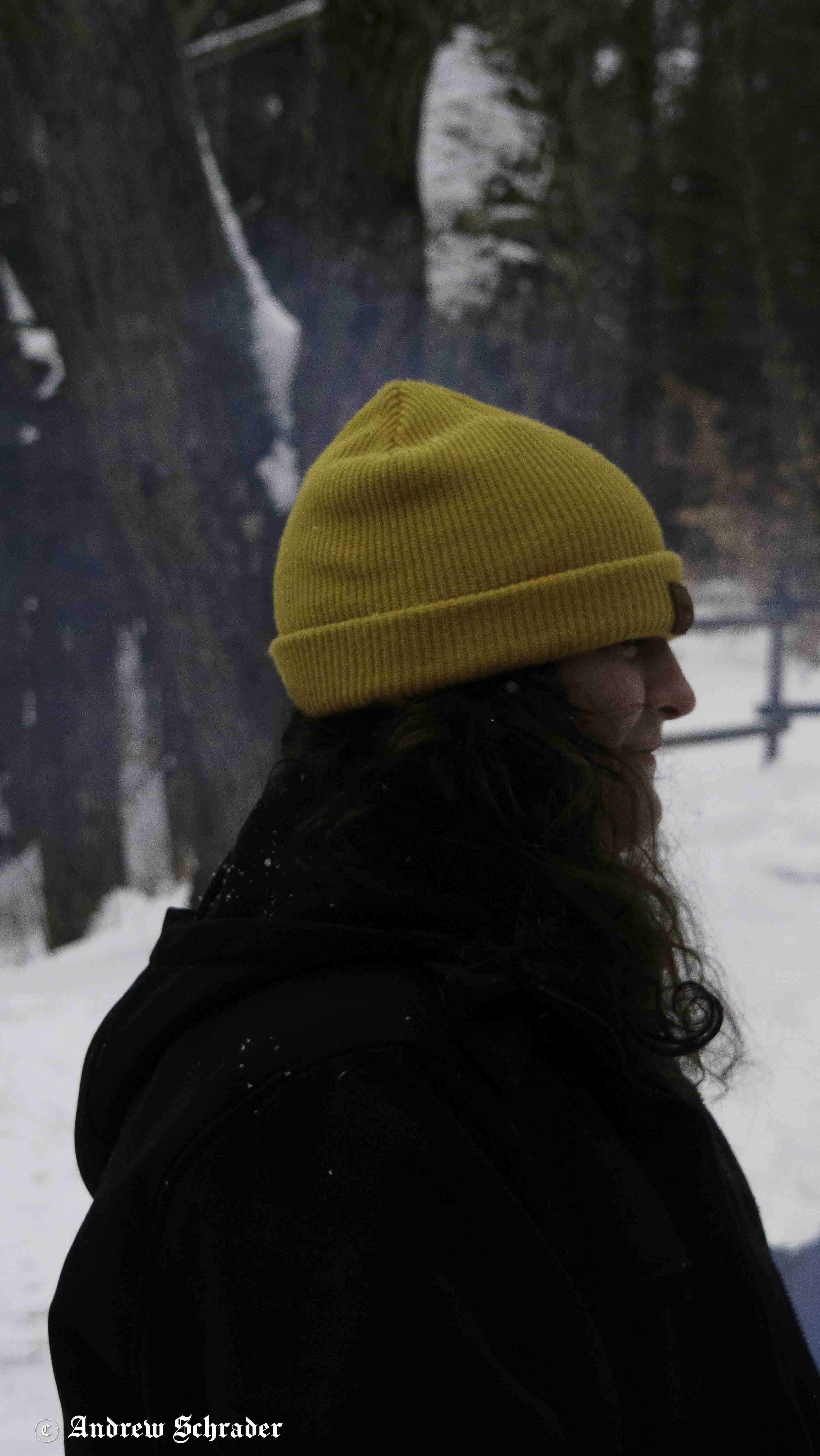Photo 45